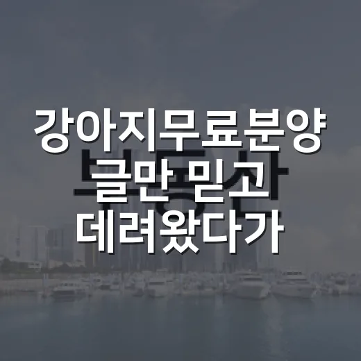 강아지무료분양 글만 믿고 데려왔다가 비용표 다시 써본 이야기 - 요약