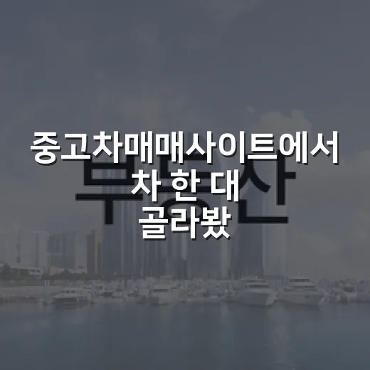 중고차매매사이트에서 차 한 대 골라봤더니, 경매 권리분석 습관이 그대로 나오더라 - 요약