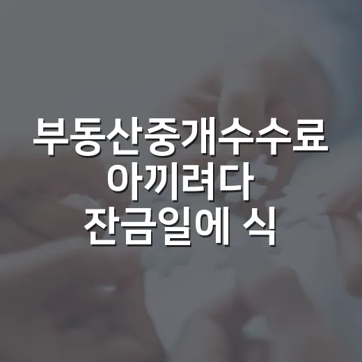 부동산중개수수료 아끼려다 잔금일에 식은땀 난 이야기 - 요약