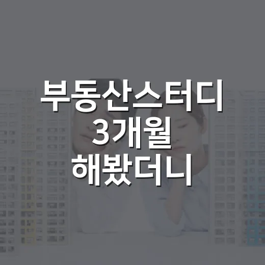 부동산스터디 3개월 해봤더니, 입찰장보다 먼저 배운 건 숫자 보는 버릇이었다 - 요약