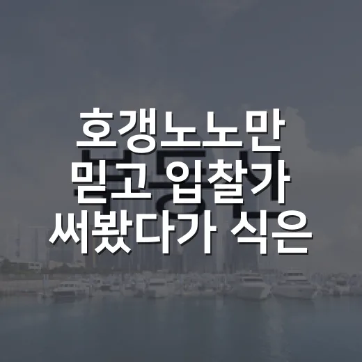 호갱노노만 믿고 입찰가 써봤다가 식은땀 난 이야기 - 요약