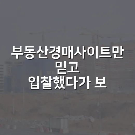 부동산경매사이트만 믿고 입찰했다가 보증금 날릴 뻔한 이야기 - 요약