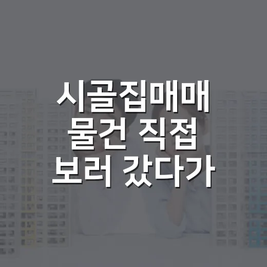 시골집매매 물건 직접 보러 갔다가 수리비 계산서부터 다시 쓴 이야기 - 요약