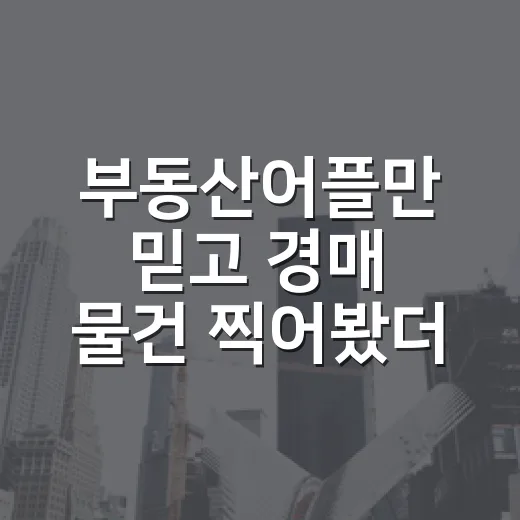 부동산어플만 믿고 경매 물건 찍어봤더니 생긴 일 - 요약