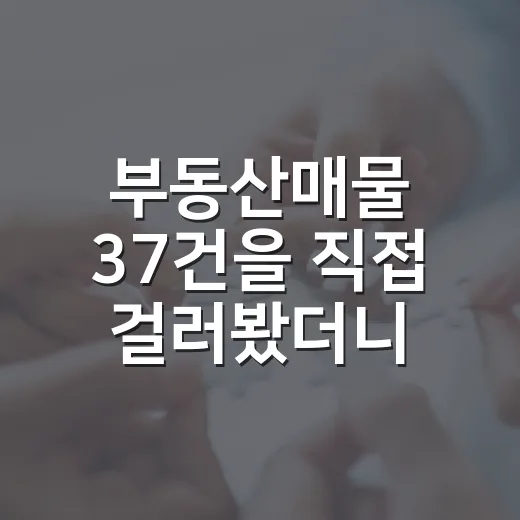 부동산매물 37건을 직접 걸러봤더니, 사진보다 등기부 한 줄이 더 무서웠습니다 - 요약