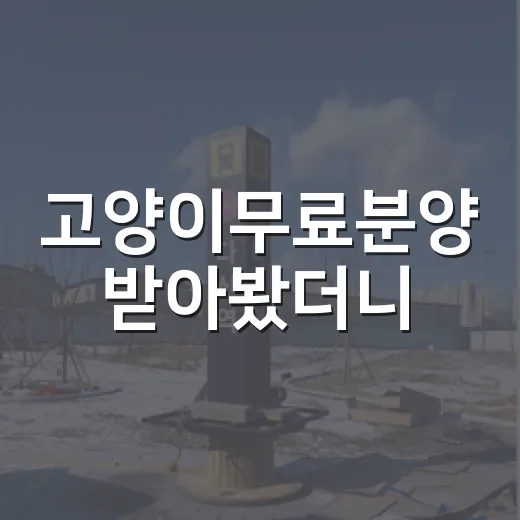 고양이무료분양 받아봤더니, 공짜라는 말 뒤에 숨어 있던 진짜 비용 - 요약