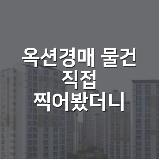 옥션경매 물건 직접 찍어봤더니 초보가 놓치는 돈 새는 구멍이 보였다 - 요약