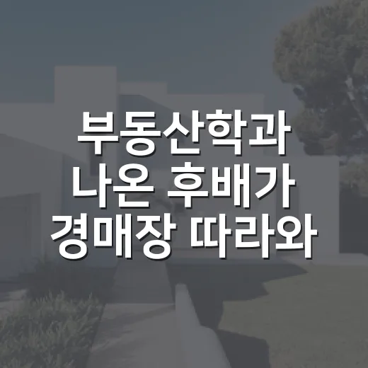 부동산학과 나온 후배가 경매장 따라와서 놀란 진짜 이유 - 요약