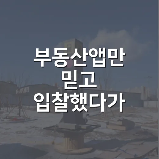 부동산앱만 믿고 입찰했다가 발품으로 겨우 피한 물건 이야기 - 요약