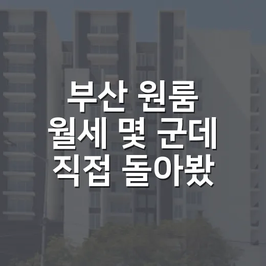 부산 원룸 월세 몇 군데 직접 돌아봤더니 보증금보다 관리비가 더 무서웠습니다 - 요약