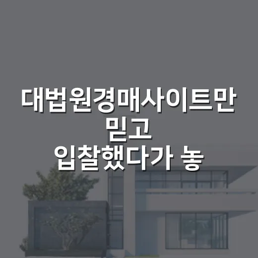 대법원경매사이트만 믿고 입찰했다가 놓친 것들, 현장에서 직접 겪은 이야기 - 요약