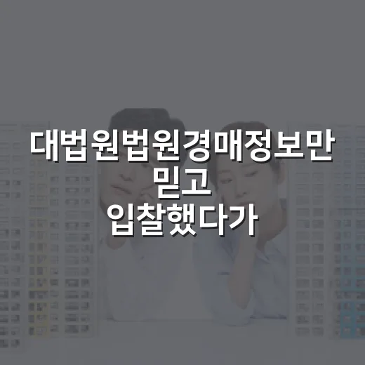대법원법원경매정보만 믿고 입찰했다가 식은땀 난 이야기 - 요약
