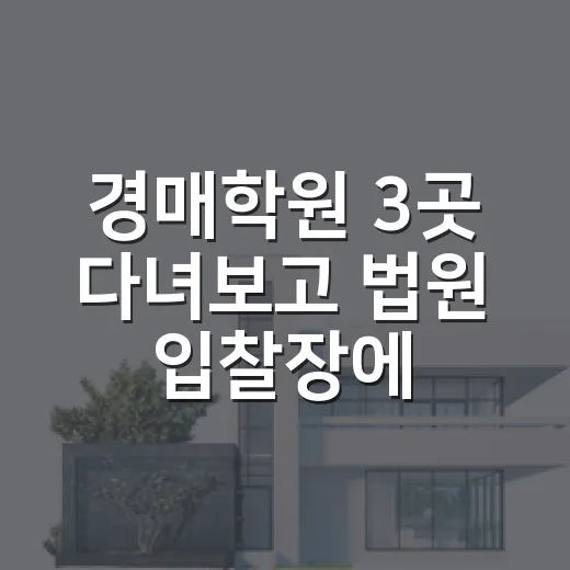 경매학원 3곳 다녀보고 법원 입찰장에서 깨달은 진짜 이야기 - 요약