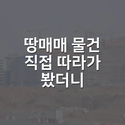 땅매매 물건 직접 따라가 봤더니, 싼 땅에는 이유가 있더라 - 요약