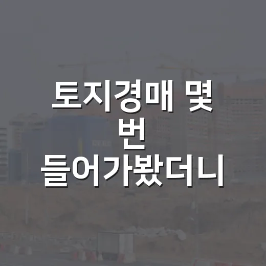 토지경매 몇 번 들어가봤더니, 초보가 진짜 조심해야 할 땅은 따로 있었습니다 - 요약