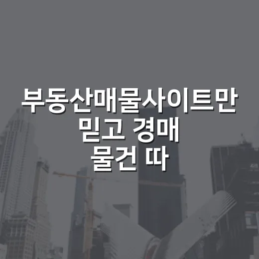 부동산매물사이트만 믿고 경매 물건 따라갔다가 발품의 의미를 다시 배웠습니다 - 요약