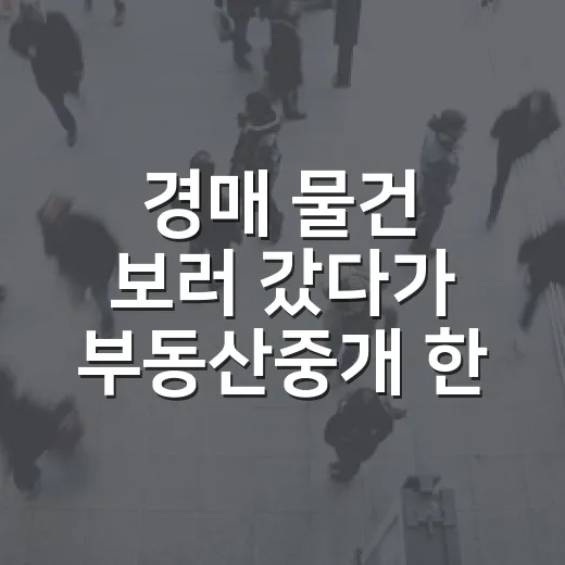 경매 물건 보러 갔다가 부동산중개 한마디에 입찰가를 낮춘 이야기 - 요약