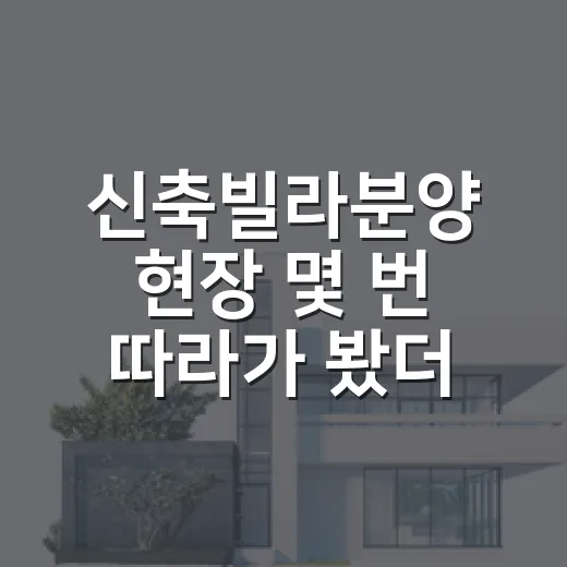 신축빌라분양 현장 몇 번 따라가 봤더니, 새집 냄새보다 먼저 봐야 할 것들 - 요약