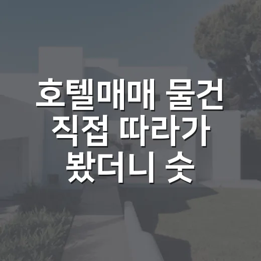 호텔매매 물건 직접 따라가 봤더니 숫자보다 냄새가 먼저 보였습니다 - 요약