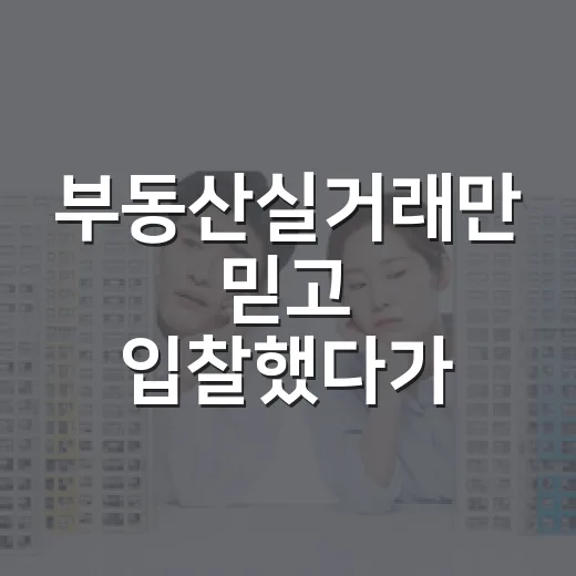 부동산실거래만 믿고 입찰했다가 현장에서 식은땀 났던 이야기 - 요약