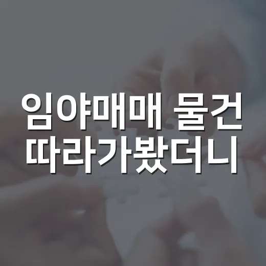 임야매매 물건 따라가봤더니, 싸게 보인 산이 제일 비쌌던 이야기 - 요약
