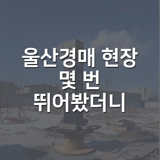울산경매 현장 몇 번 뛰어봤더니, 초보가 싸다고 덤비면 다치는 물건이 보이더군요 - 요약