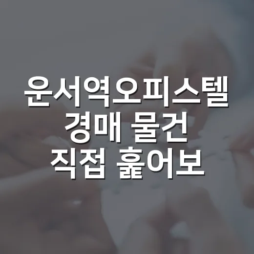 운서역오피스텔 경매 물건 직접 훑어보니 숫자보다 먼저 보이는 것들 - 요약