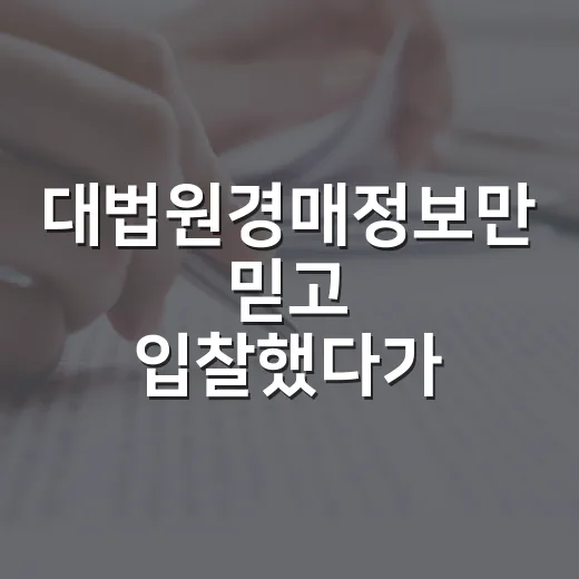 대법원경매정보만 믿고 입찰했다가 현장에서 식은땀 난 이야기 - 요약