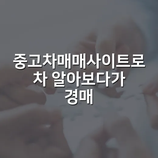 중고차매매사이트로 차 알아보다가 경매 물건 보듯 따져본 후기 - 요약