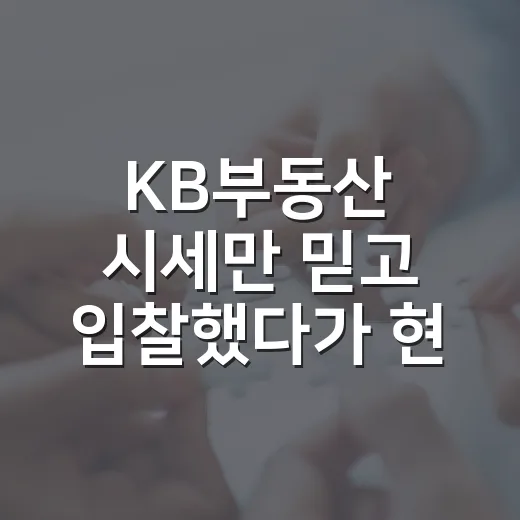KB부동산 시세만 믿고 입찰했다가 현장에서 다시 계산해본 이야기 - 요약