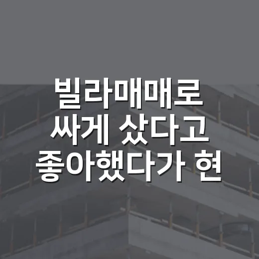 빌라매매로 싸게 샀다고 좋아했다가 현장에서 계산 다시 한 이야기 - 요약