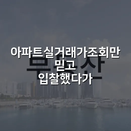 아파트실거래가조회만 믿고 입찰했다가 현장에서 식은땀 난 이야기 - 요약