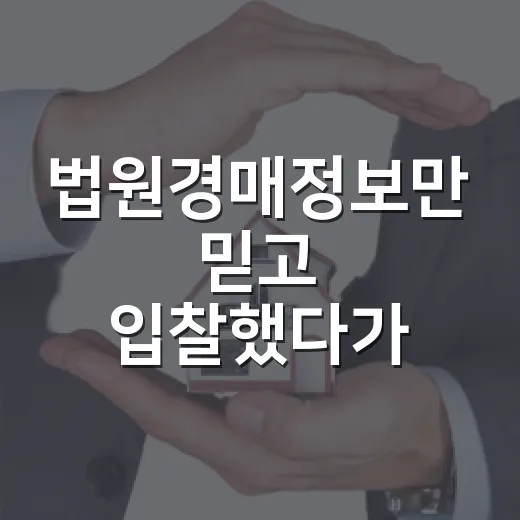 법원경매정보만 믿고 입찰했다가 현장에서 식은땀 났던 이야기 - 요약