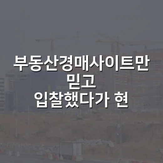 부동산경매사이트만 믿고 입찰했다가 현장에서 식은땀 난 이야기 - 요약