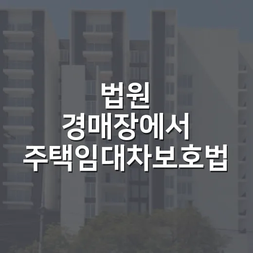 법원 경매장에서 주택임대차보호법 때문에 입찰가를 낮춘 이야기 - 요약