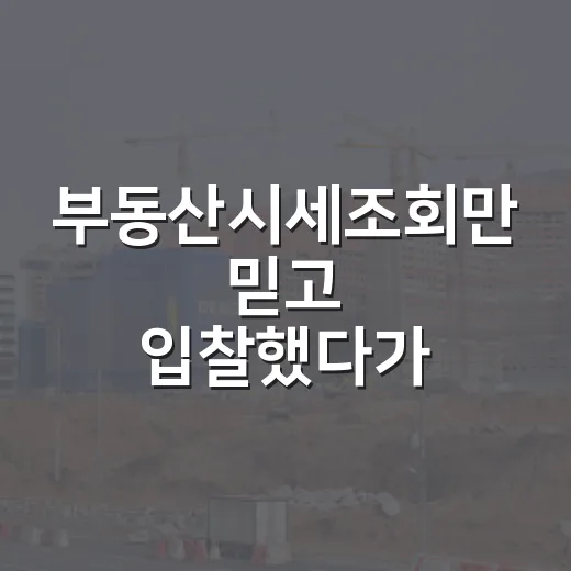 부동산시세조회만 믿고 입찰했다가 현장에서 식은땀 난 이야기 - 요약