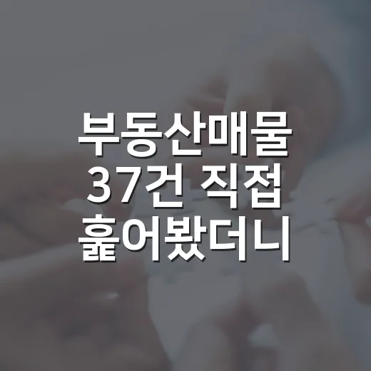 부동산매물 37건 직접 훑어봤더니, 초보가 놓치는 위험 신호가 보였습니다 - 요약