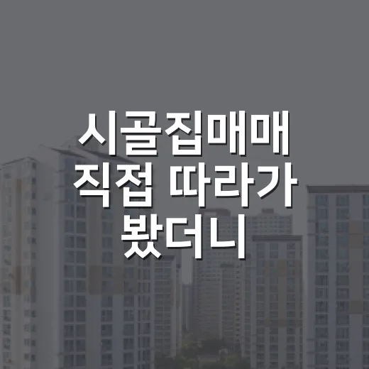 시골집매매 직접 따라가 봤더니, 싸 보이는 집에 돈이 더 들어가더라 - 요약