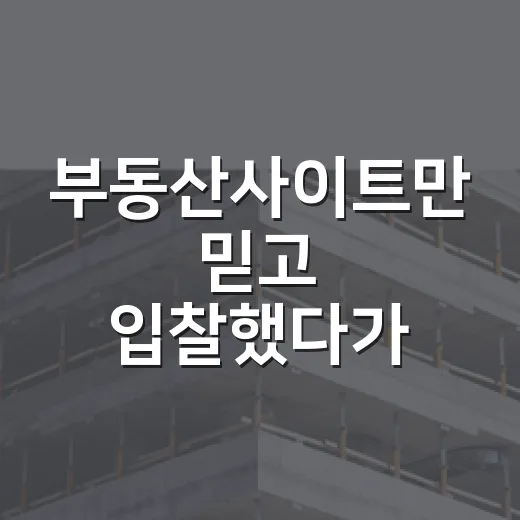 부동산사이트만 믿고 입찰했다가 보증금 날릴 뻔한 진짜 이야기 - 요약