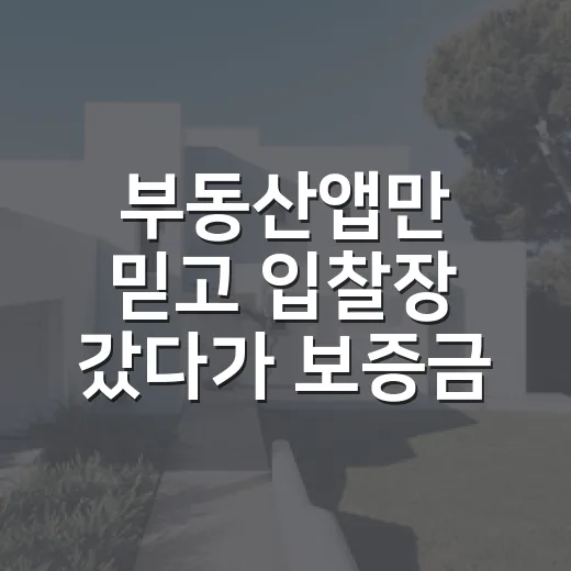 부동산앱만 믿고 입찰장 갔다가 보증금 날릴 뻔한 이야기 - 요약