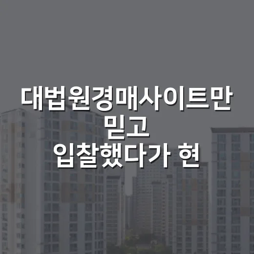 대법원경매사이트만 믿고 입찰했다가 현장에서 다시 배운 이야기 - 요약