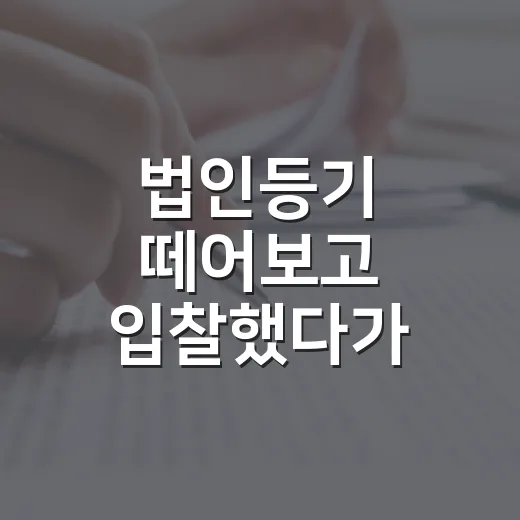 법인등기 떼어보고 입찰했다가 식은땀 난 이야기 - 요약