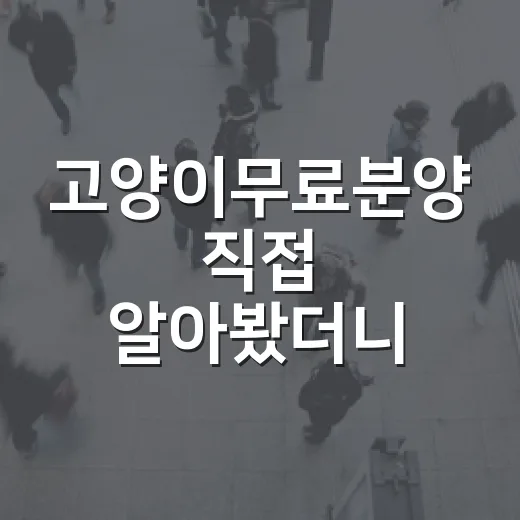 고양이무료분양 직접 알아봤더니, 공짜보다 먼저 봐야 할 게 많았습니다 - 요약