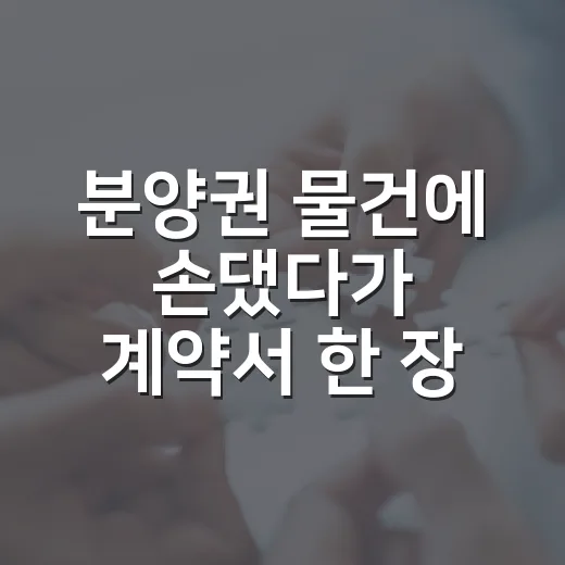 분양권 물건에 손댔다가 계약서 한 장 때문에 식은땀 난 이야기 - 요약
