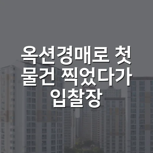 옥션경매로 첫 물건 찍었다가 입찰장 앞에서 발길 돌린 이야기 - 요약