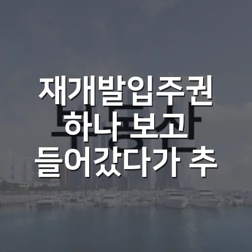 재개발입주권 하나 보고 들어갔다가 추가분담금에 식은땀 난 이야기 - 요약