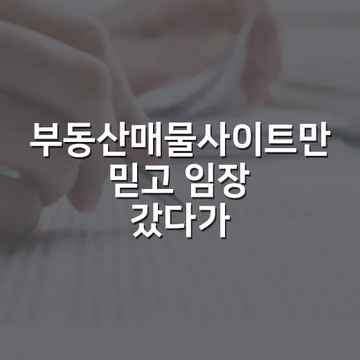 부동산매물사이트만 믿고 임장 갔다가 하루 날린 진짜 이야기 - 요약