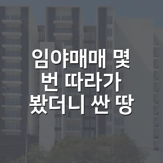 임야매매 몇 번 따라가 봤더니 싼 땅보다 무서운 게 따로 있었습니다 - 요약