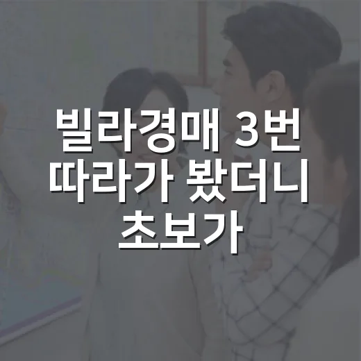 빌라경매 3번 따라가 봤더니 초보가 놓치는 돈줄이 보였습니다 - 요약