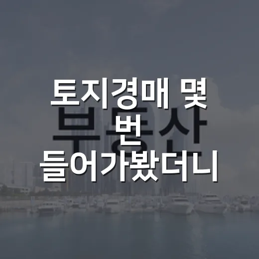 토지경매 몇 번 들어가봤더니, 초보가 잃는 돈은 땅값이 아니었습니다 - 요약